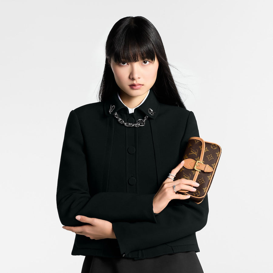 Sac LV Nano Diane Toile Monogram – image 7