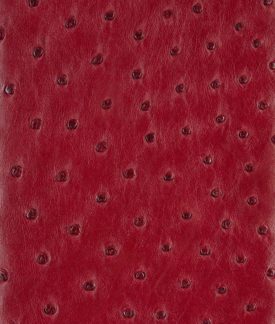 Pochette à anse en autruche avec fermeture knot emblématique en métal. – image 5