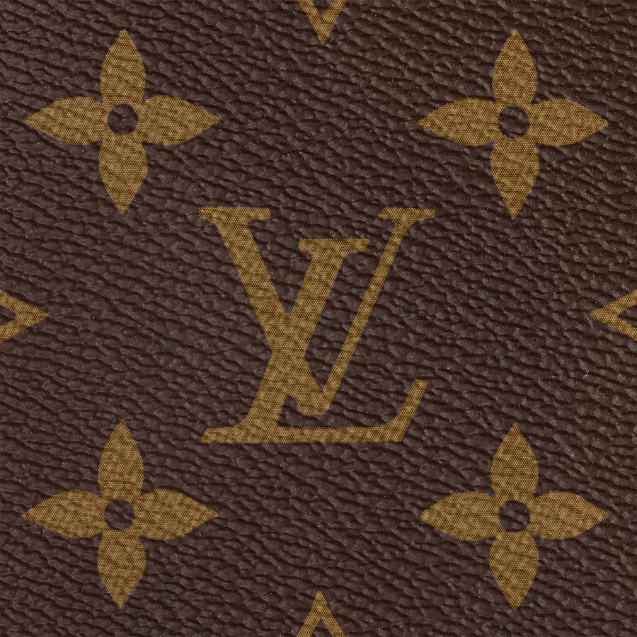 Sac LV CarryAll MM Toile Monogram – image 6